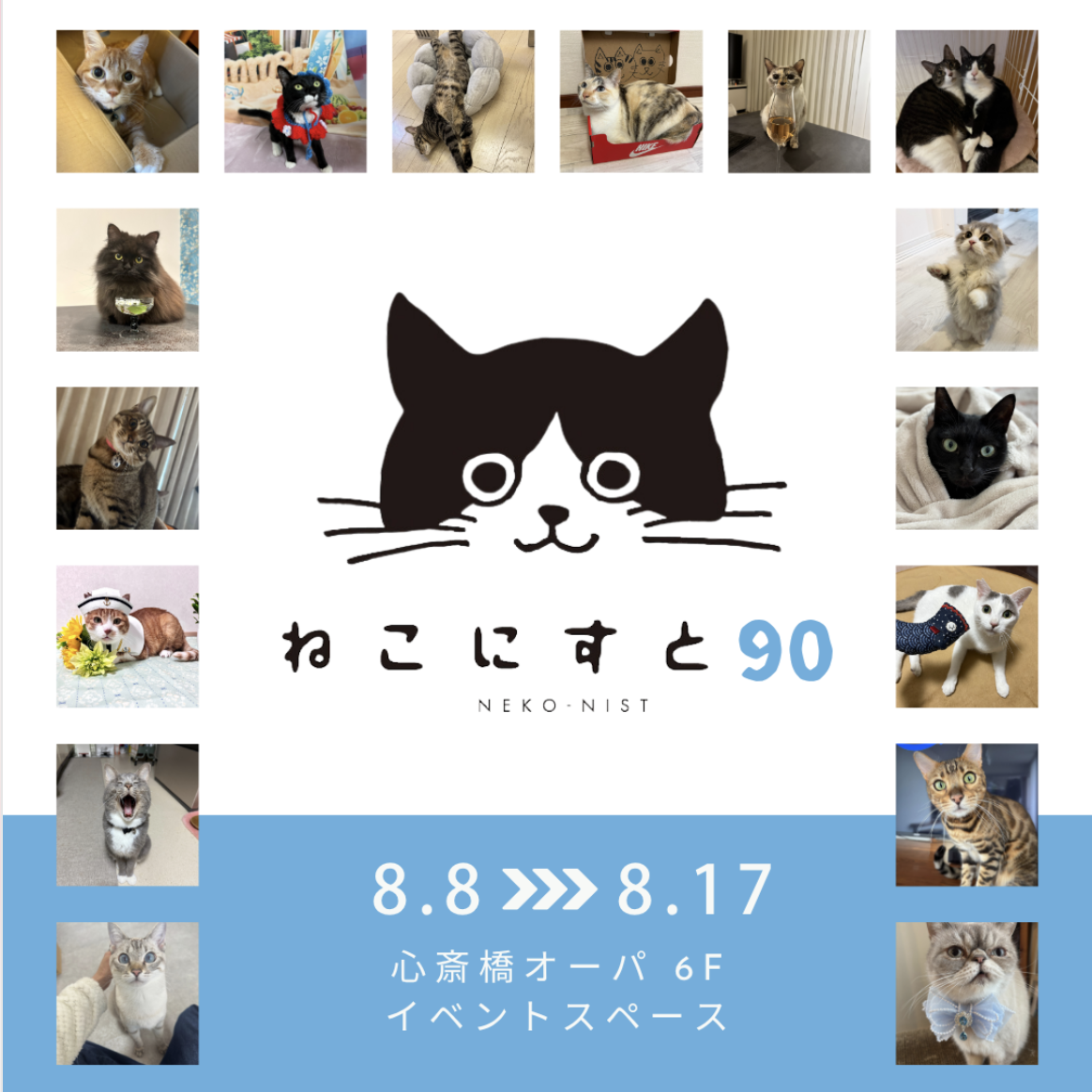 ねこ♡ ねこに転生したおじさん×WEGOコラボクッション – WEGO ONLINE STORE